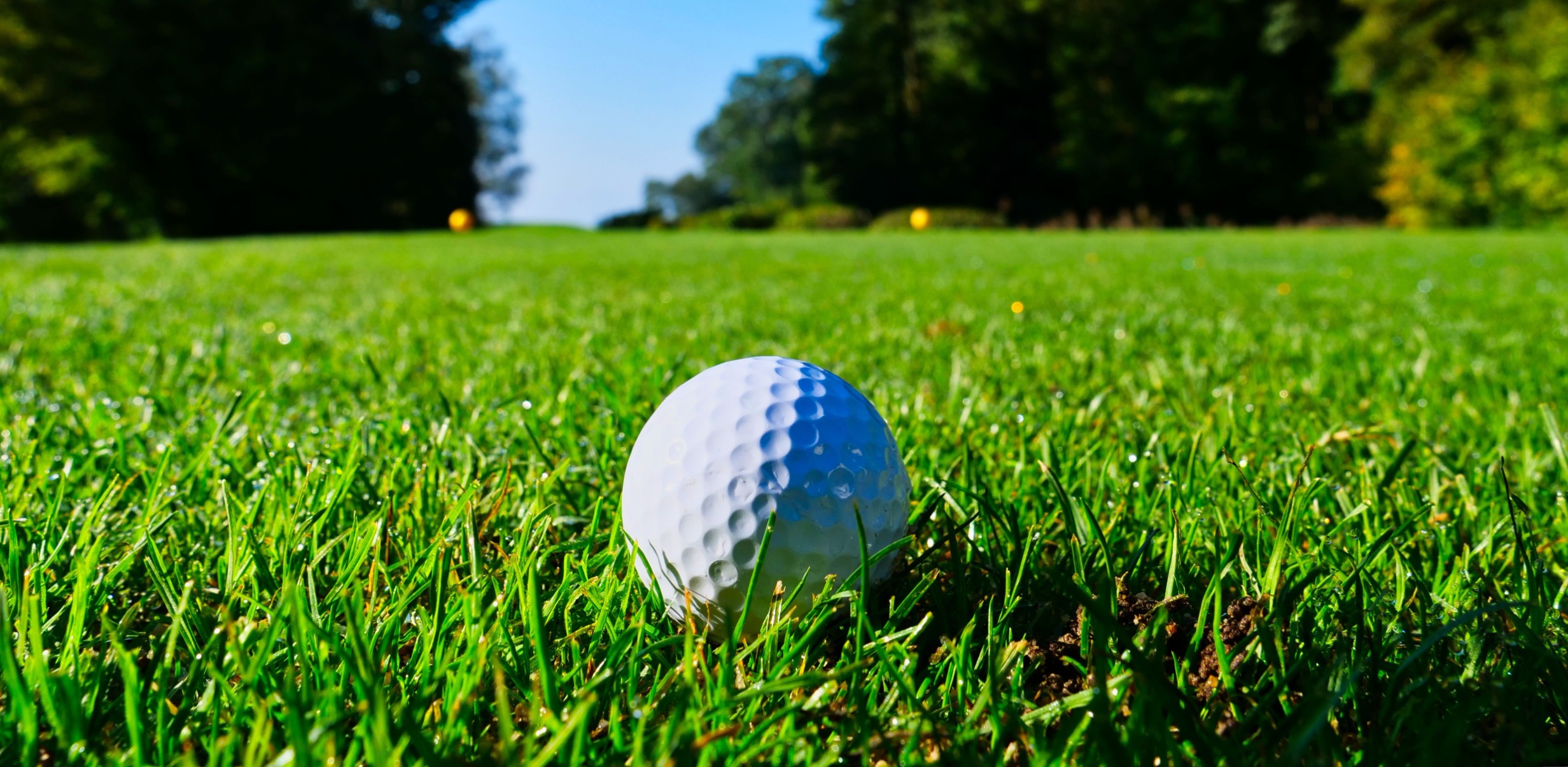 Golf ball on turf